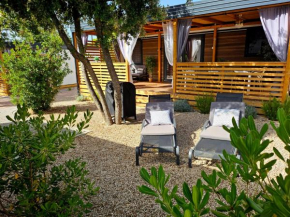Mobile homes Royal R